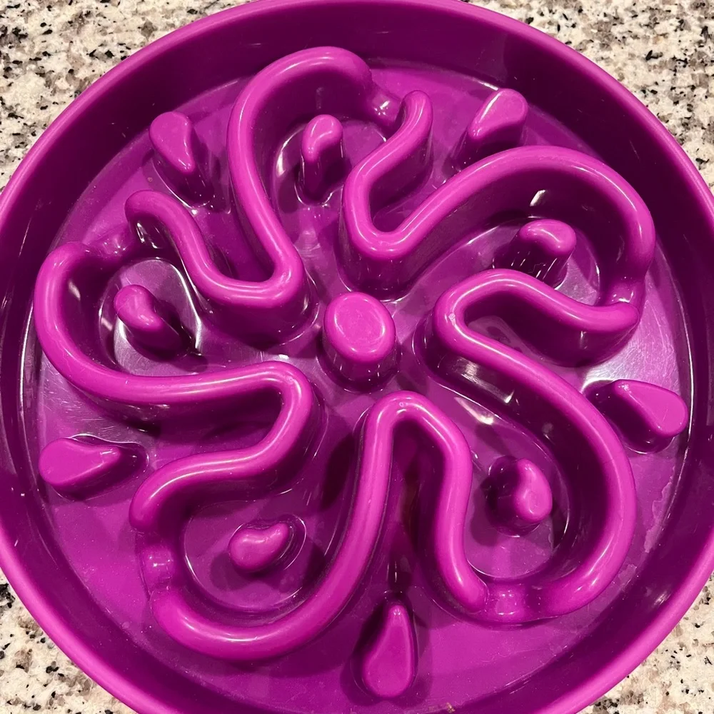 Outward Hound Fun Feeder Slo Bowl, Large Slow Feeder Dog Bowl,